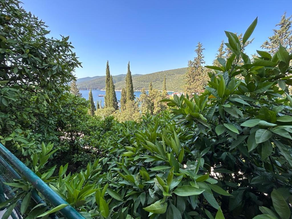 Apartment Near The Sea 650 Rabac Exteriör bild